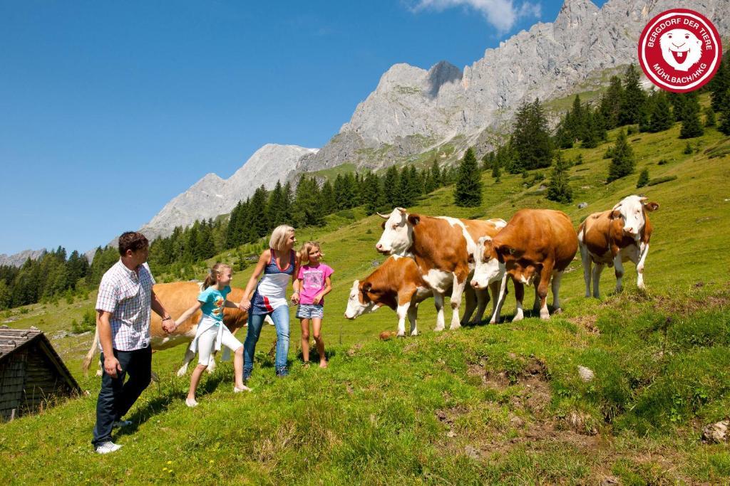 Apartments Haus Huber Mühlbach am Hochkönig Eksteriør billede