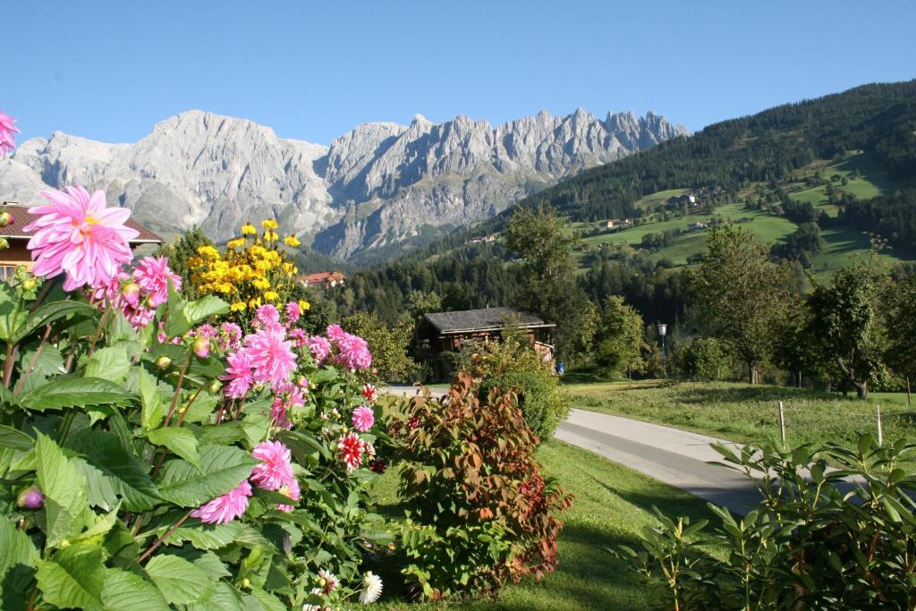 Apartments Haus Huber Mühlbach am Hochkönig Værelse billede