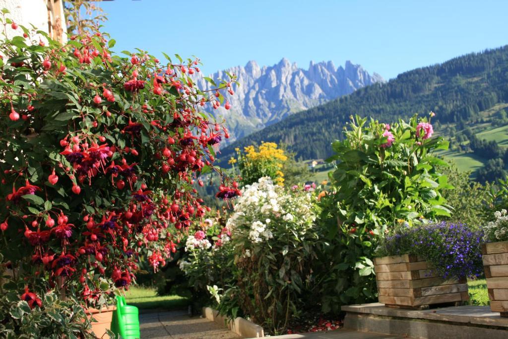 Apartments Haus Huber Mühlbach am Hochkönig Eksteriør billede