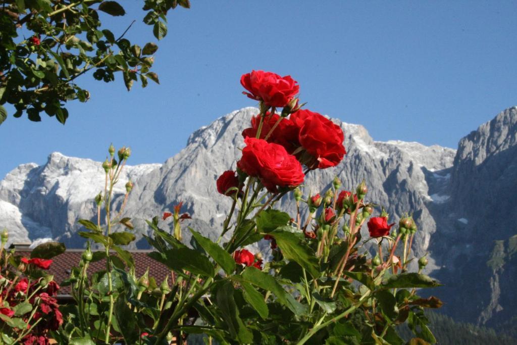 Apartments Haus Huber Mühlbach am Hochkönig Værelse billede
